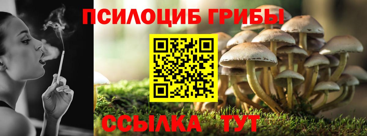 Псилоцибиновые грибы Cubensis  Вход с VPN  Ульяновск  Псилоцибиновые грибы мухоморы 